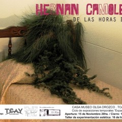 Casa Museo Olga Orozco de Toay presenta a Hernán Camoletto, “de las horas breves” - site-specific -