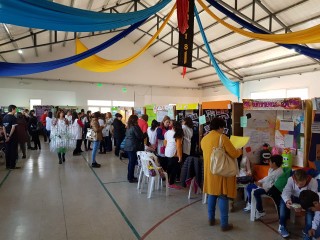 Instancia zonal de Feria de Ciencias en Victorica 