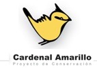 Cardenal Amarillo