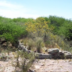 Yacimiento Arqueológico Cerro de los Viejos