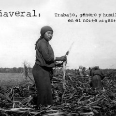 CAÑAVERAL: Trabajo, género y humillación en el norte argentino